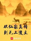 从仙宗真传到无上道主